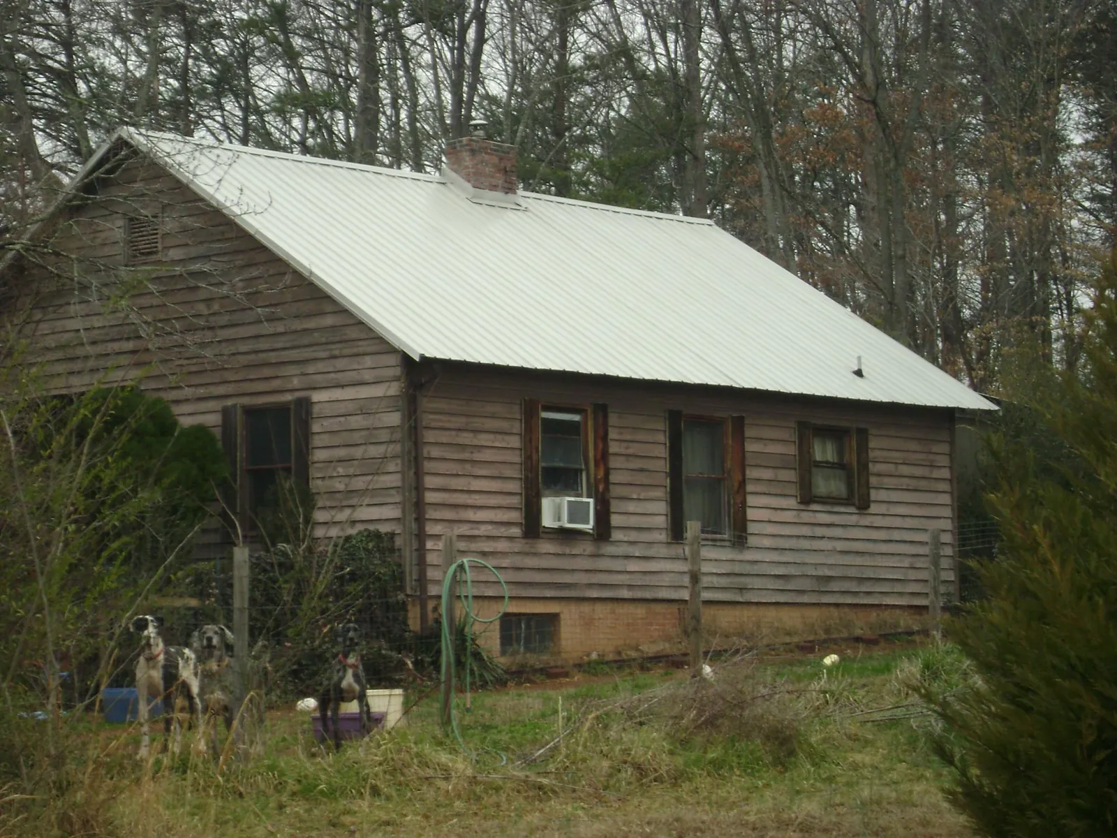 White metal roof on an old wood sided farmhouse, from a Asphalt Shingle Roof Repair job in Beulah